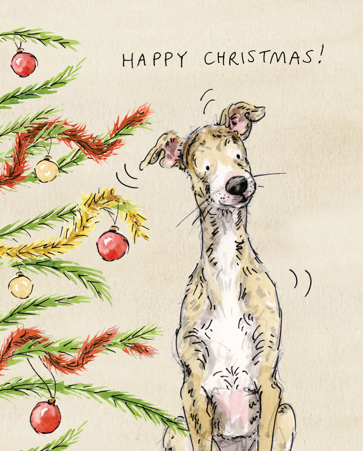 Banjo The Whippet gets a special delivery Christmas card