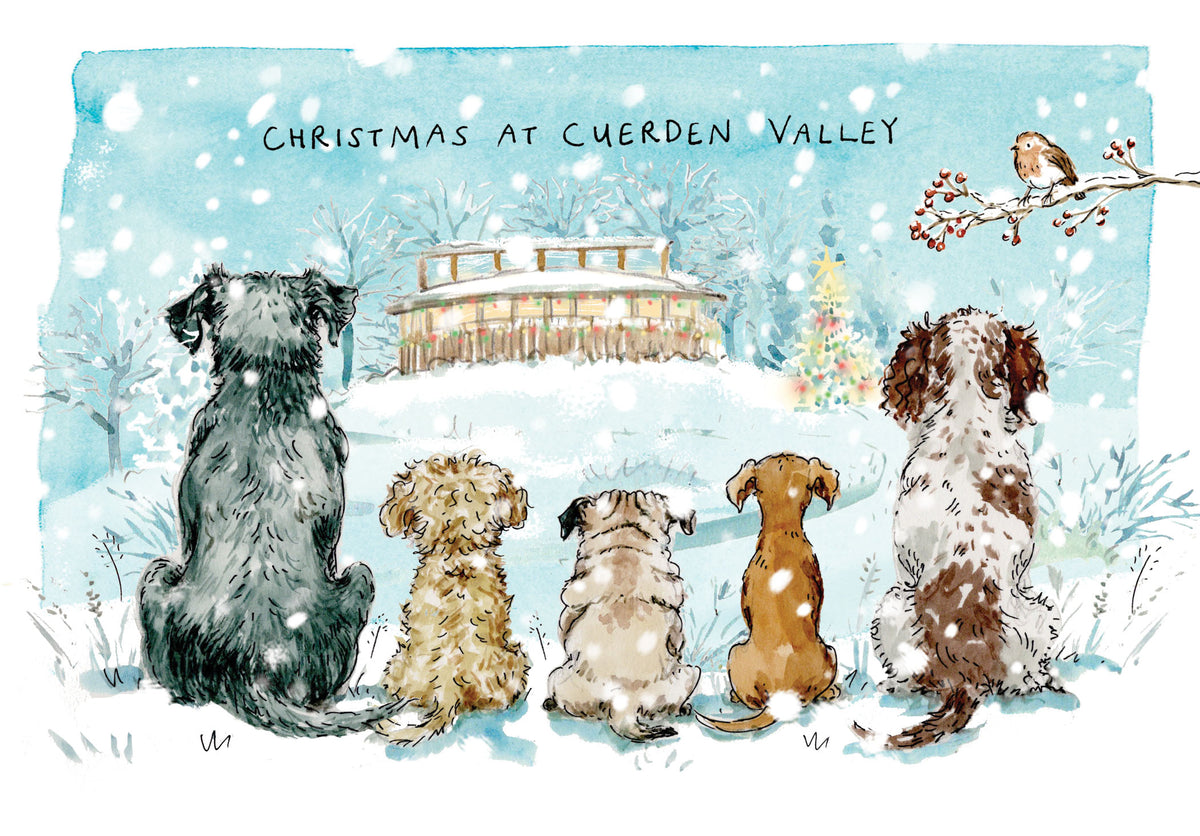 Christmas at Cuerden Valley, Christmas card pack
