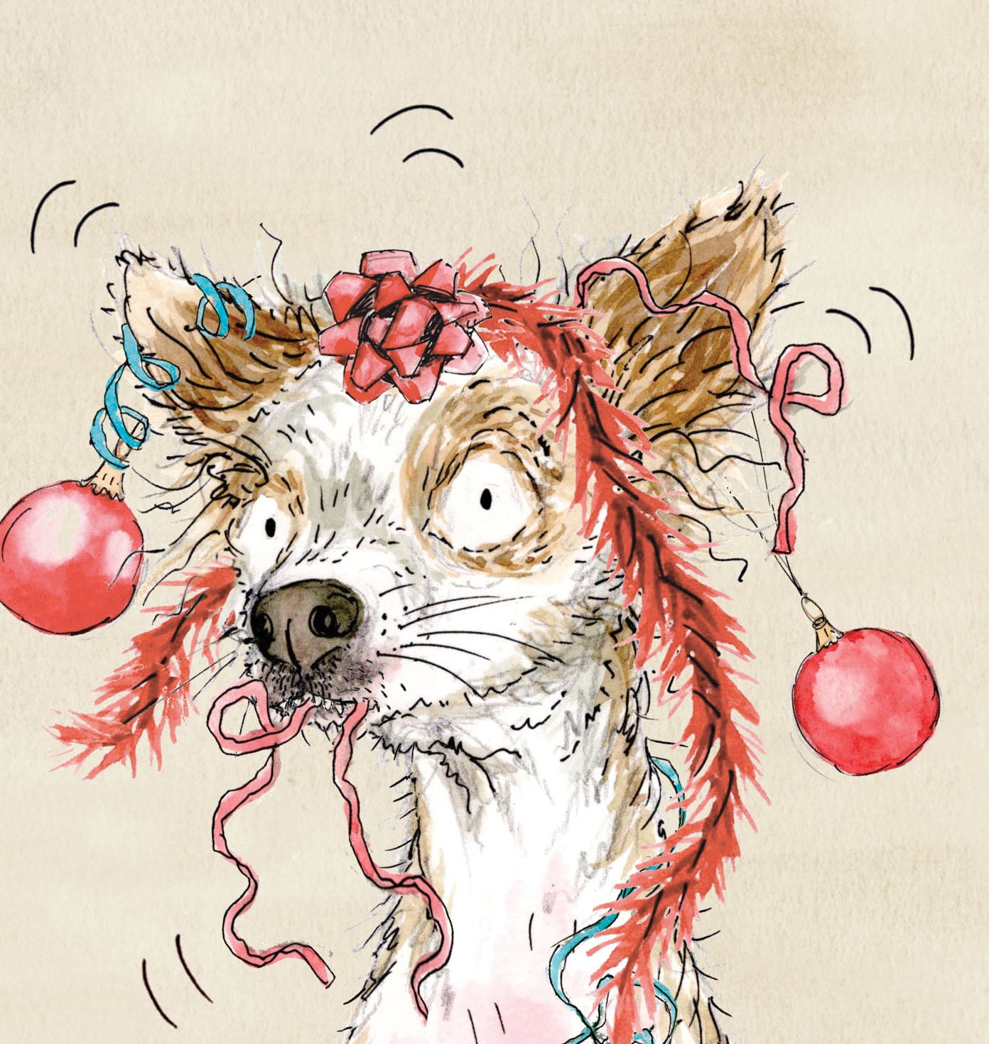 Lola The Chihuahua Christmas card pack of 10
