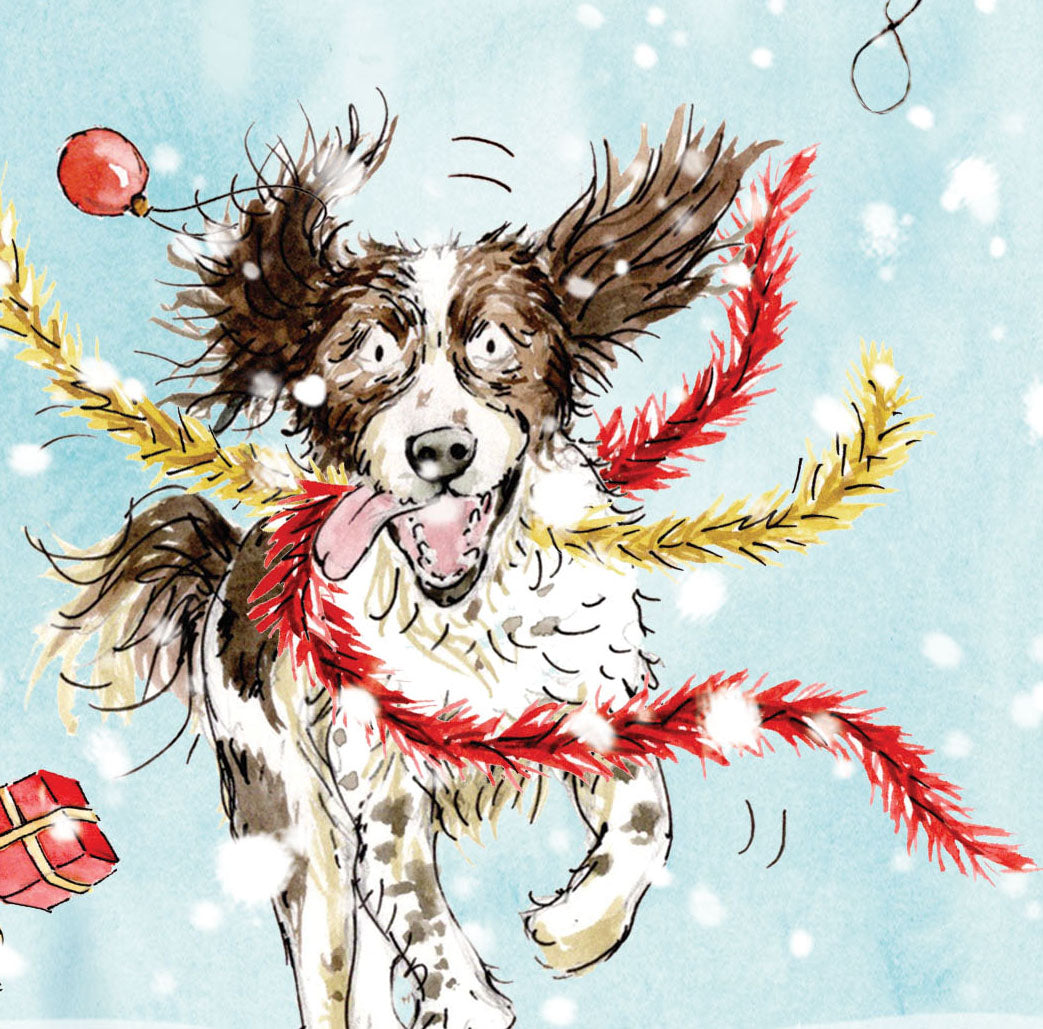 Max the Springer Spaniel Christmas card pack of 10