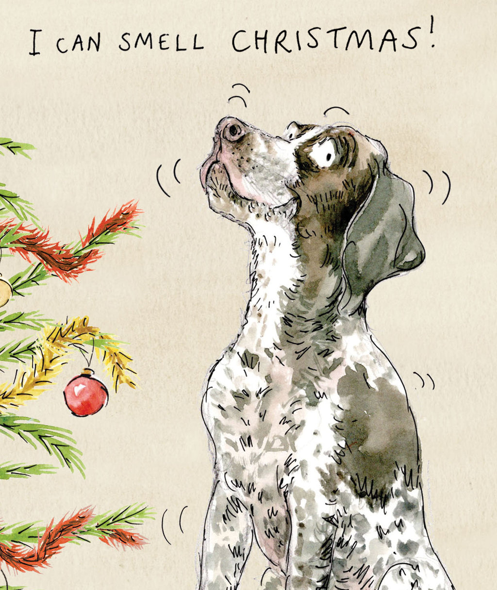 Otto the German Shorthaired Pointer Christmas card pack of 10