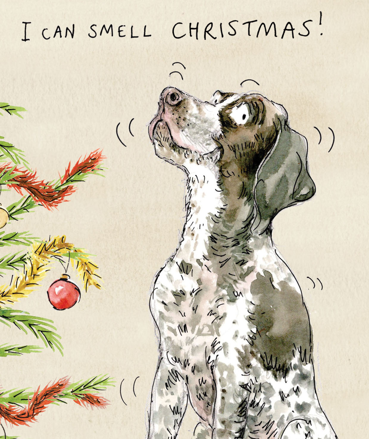 Otto the German Shorthaired Pointer Christmas card pack of 10