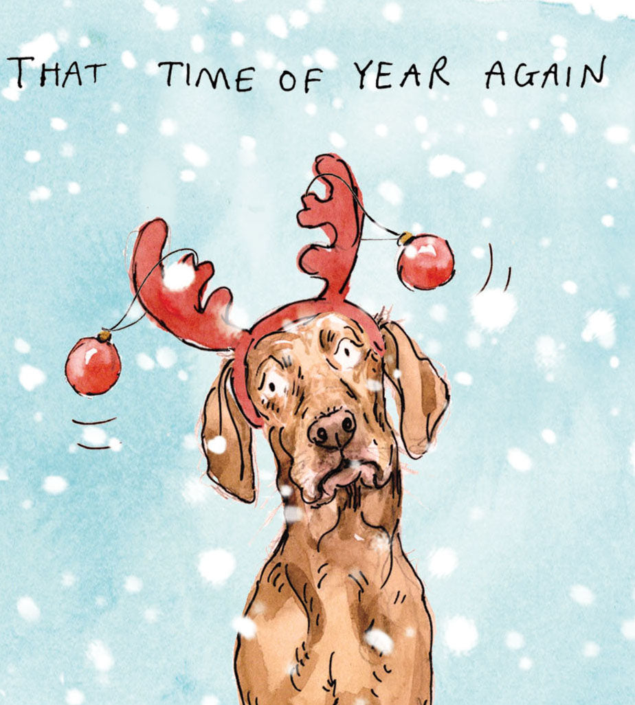 Peanut the Vizsla Christmas card pack of 10