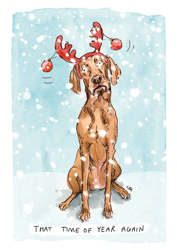 Peanut the Vizsla Christmas card pack of 10
