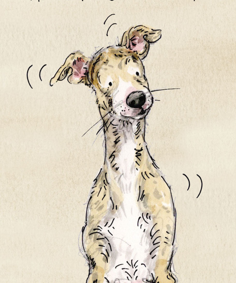 Banjo the Whippet Birthday card