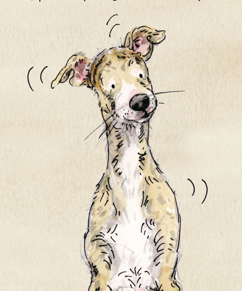Banjo the Whippet Birthday card