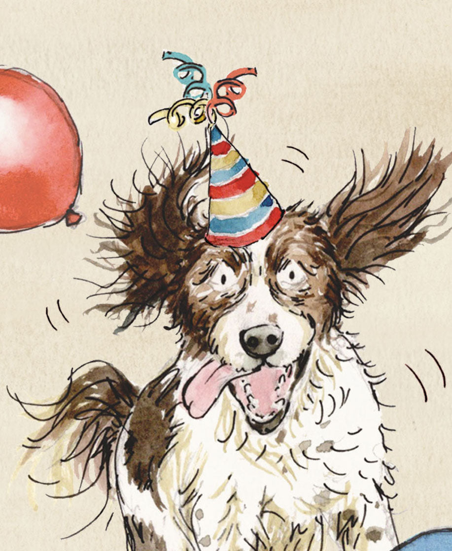 Max the Springer Spaniel Birthday Card