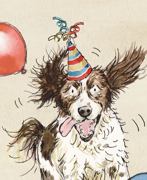 Max the Springer Spaniel Birthday Card
