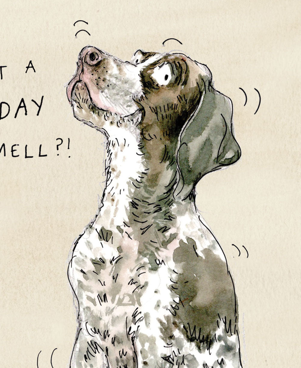 Otto the German Shorthaired Pointer Birthday Card
