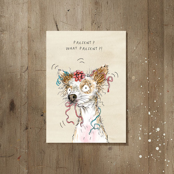 Lola The Chihuahua Birthday Card