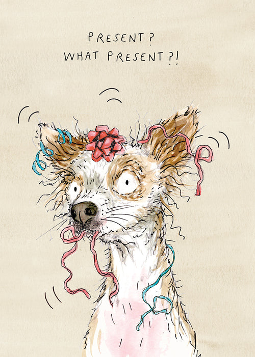 Lola The Chihuahua Birthday Card