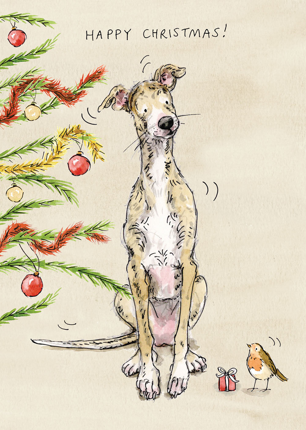 Banjo The Whippet gets a special delivery Christmas card