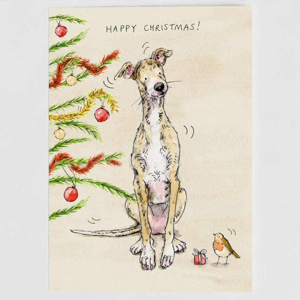 Banjo The Whippet gets a special delivery Christmas card