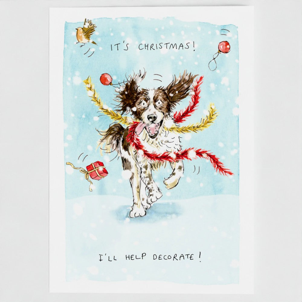 Max the Springer Spaniel Christmas card pack of 10