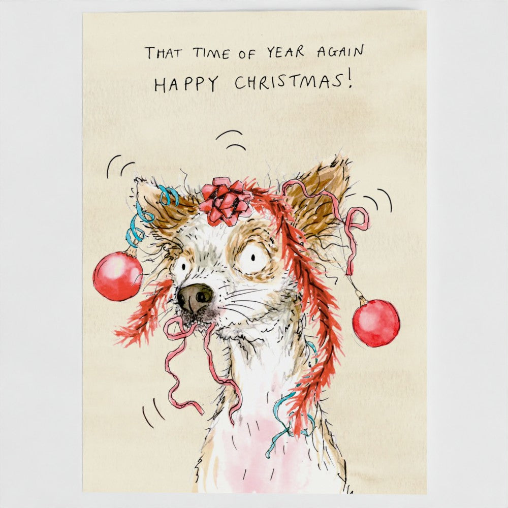 Lola The Chihuahua Christmas card pack of 10