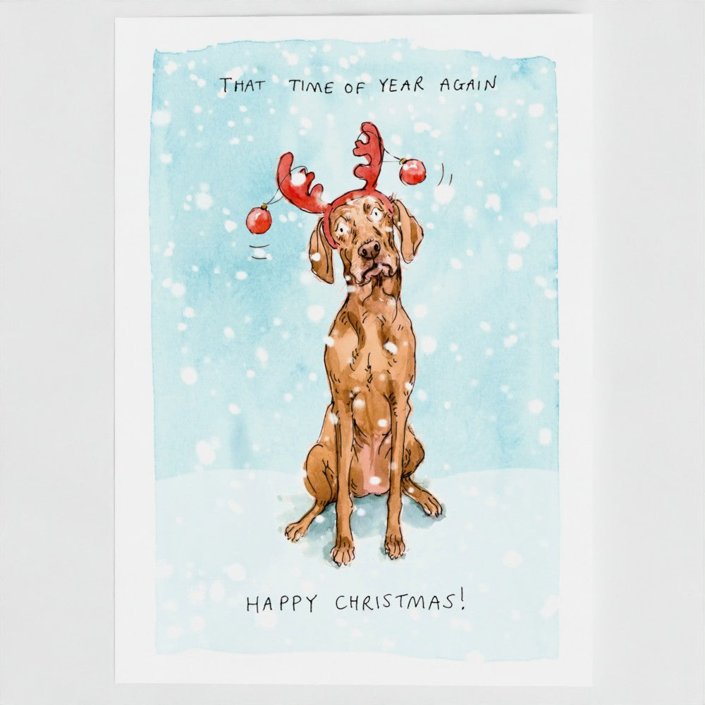 Peanut the Vizsla Christmas card pack of 10